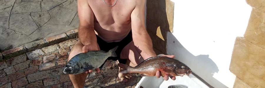 Calla Leeuwner by ‘n klompie vis wat hy met ‘n pylgeweer geskiet het.